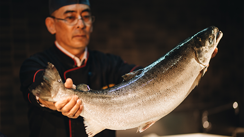 Cá hồi tươi ngon mỗi ngày – Niềm tự hào của iSushi